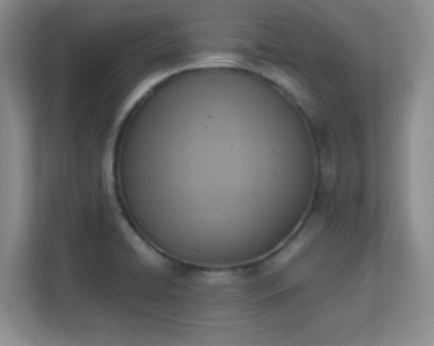 X0000110711422200906191538