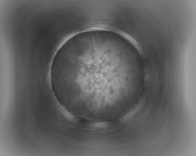 X0000110711423200906191538