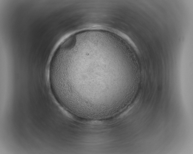 X0000110711424200906191538