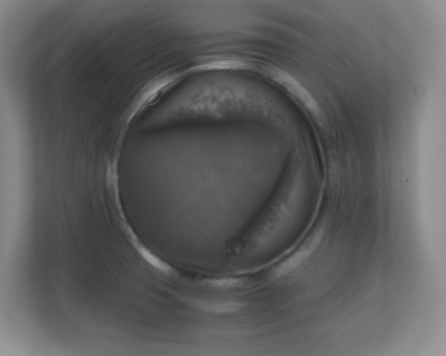 X0000110711425200906191538