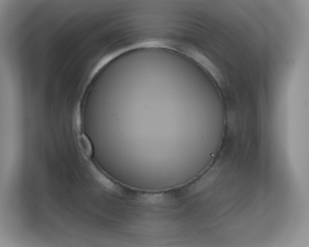 X0000110711428200906191538