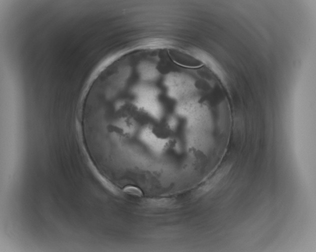 X0000110711429200906191538