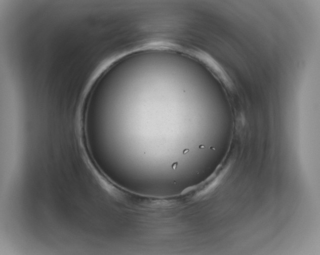 X0000110711430200906191538