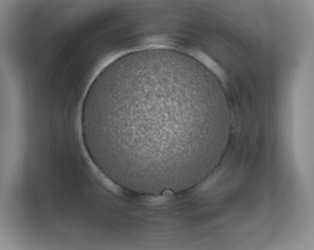 X0000110711431200906191538