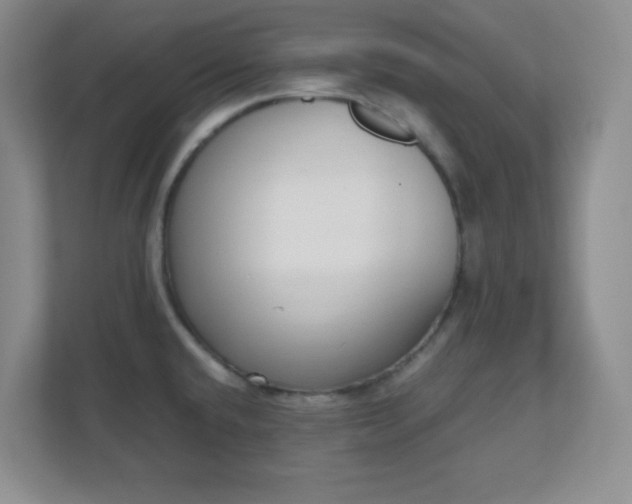 X0000110711432200906191538