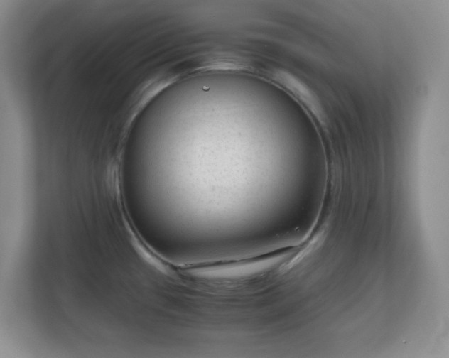 X0000110711433200906191538