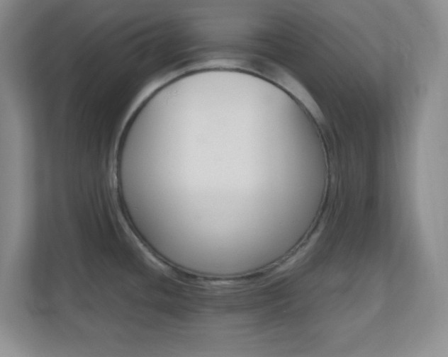 X0000110711436200906191538