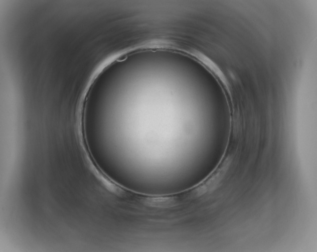 X0000110711437200906191538