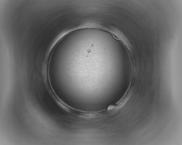 X0000110711438200906191538