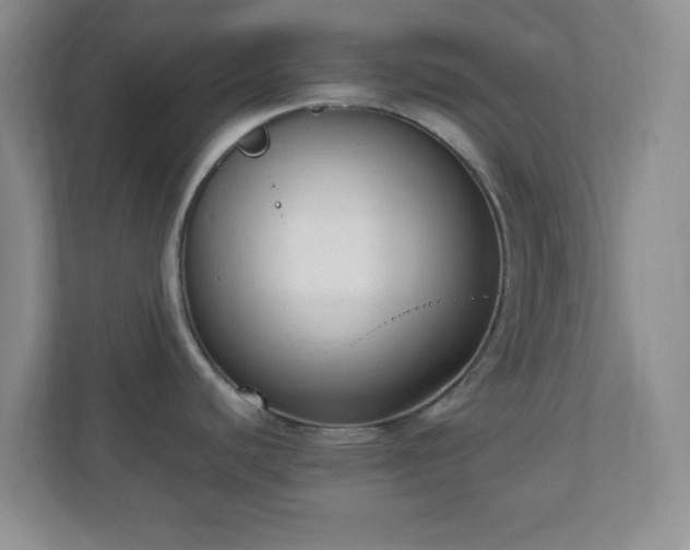 X0000110711440200906191539