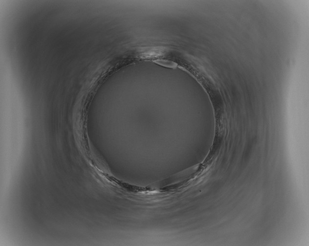 X0000110711441200906191538