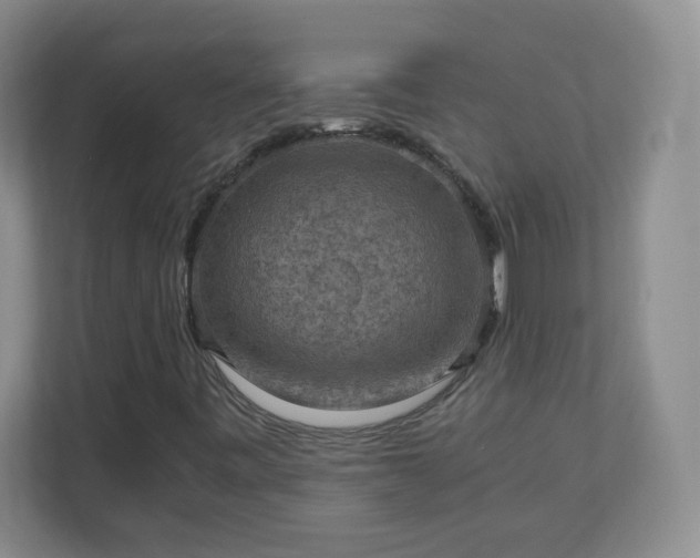 X0000110711443200906191538