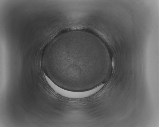X0000110711444200906191538