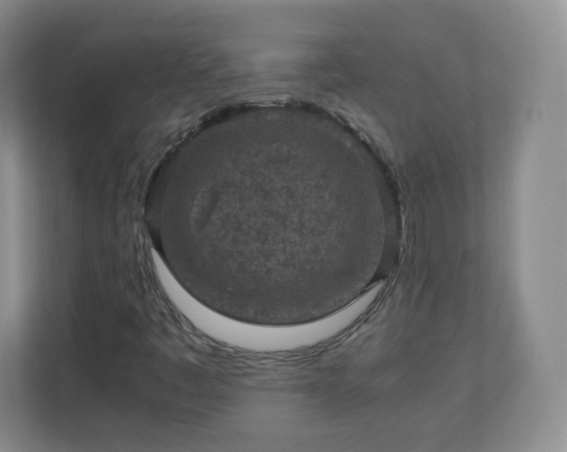 X0000110711445200906191538