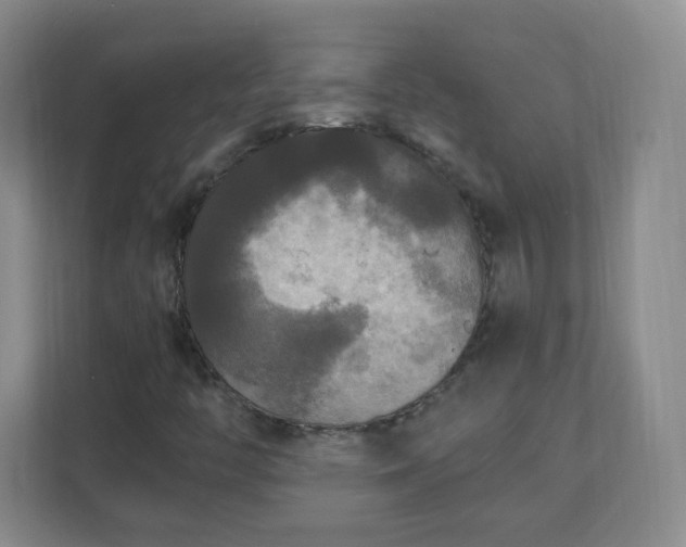 X0000110711446200906191538