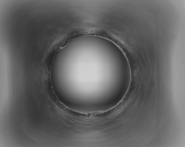 X0000110711447200906191538