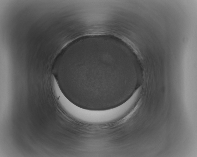 X0000110711449200906191538