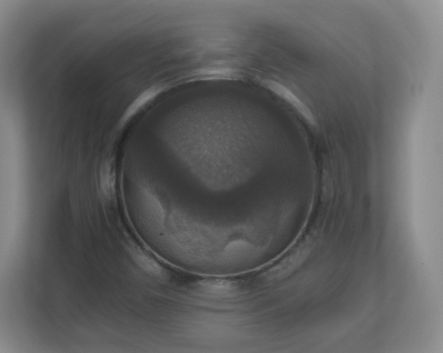 X0000110711450200906191538