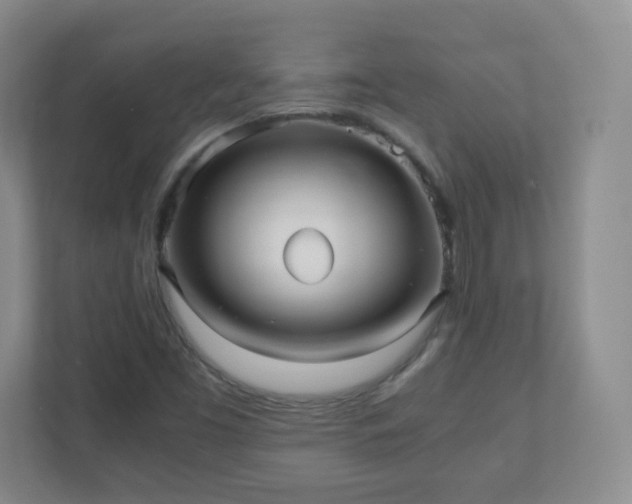 X0000110711453200906191538