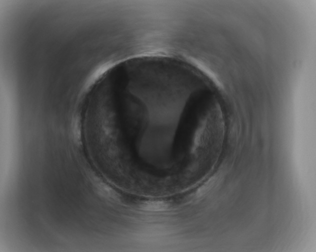 X0000110711455200906191538