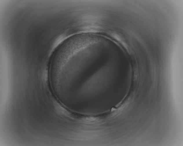 X0000110711459200906191538