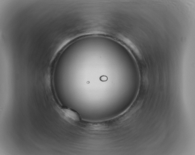 X0000110711460200906191538