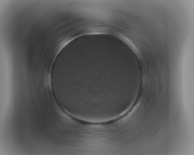 X0000110711465200906191538