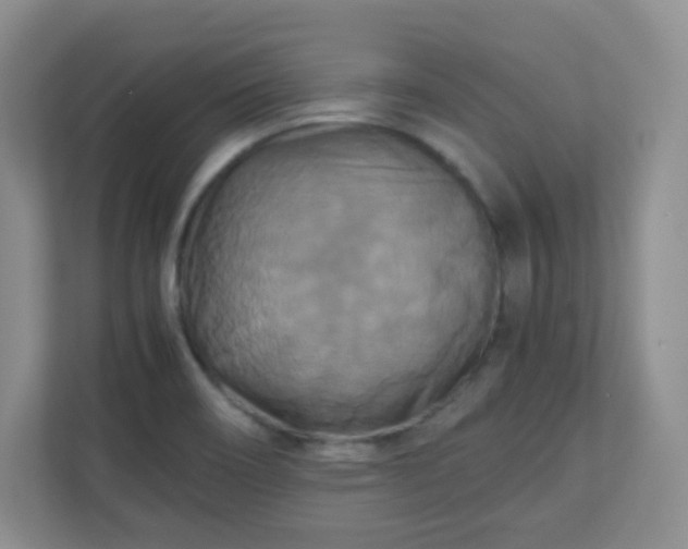 X0000110711466200906191538