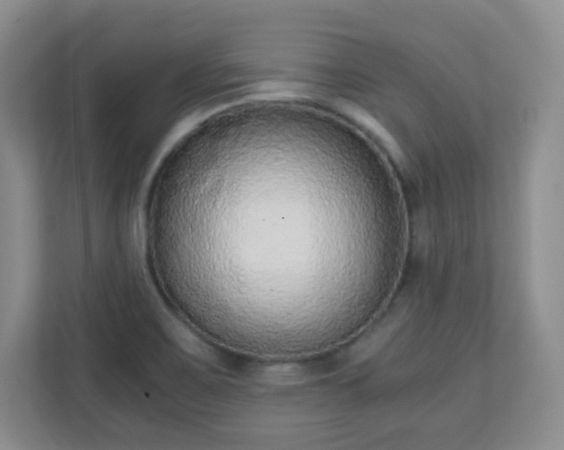 X0000110711467200906191538