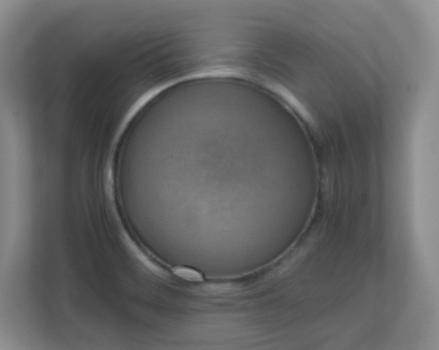 X0000110711468200906191538