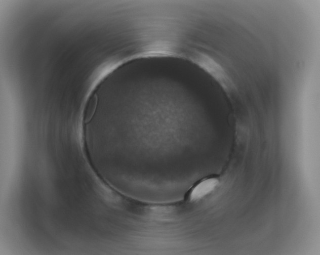 X0000110711469200906191538