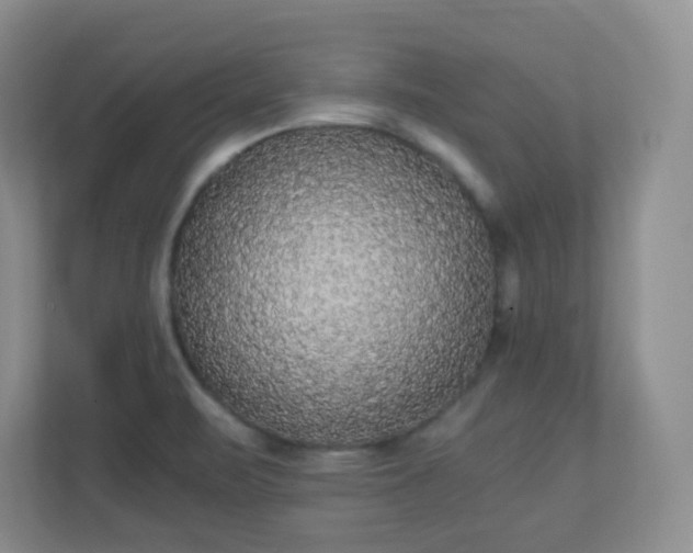 X0000110711471200906191537