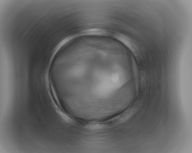 X0000110711474200906191537