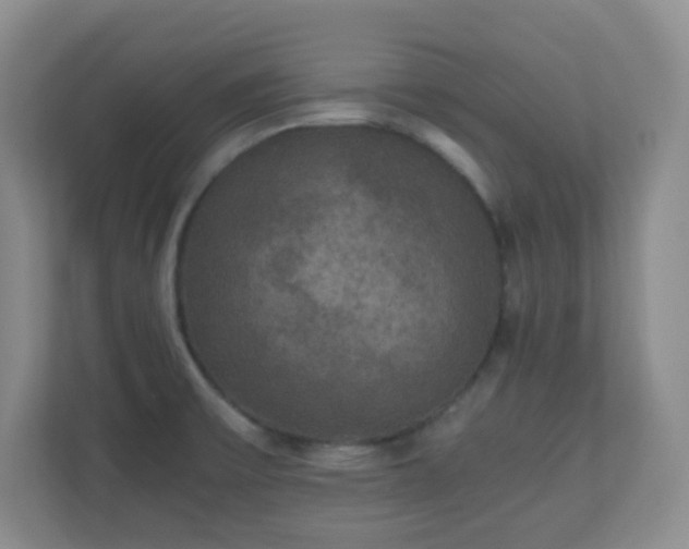 X0000110711475200906191537