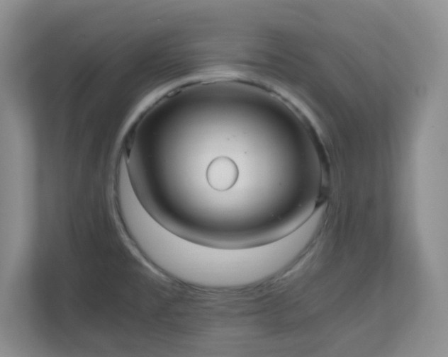 X0000110711477200906191537