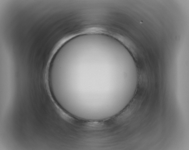 X0000110711478200906191537