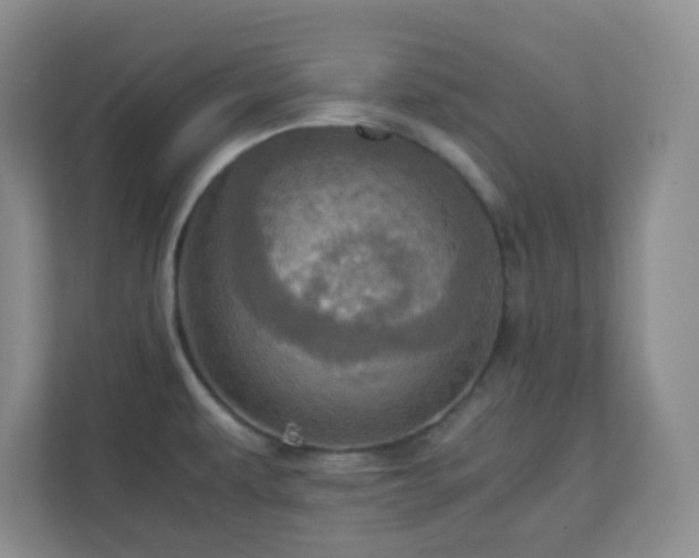 X0000110711479200906191537