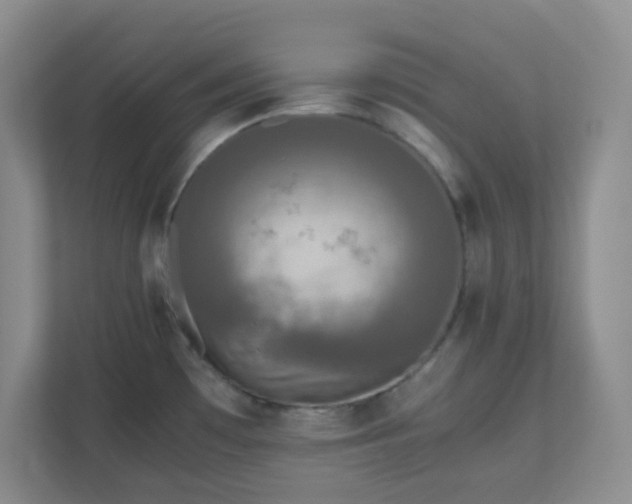 X0000110711481200906191537