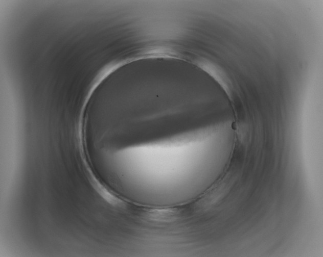 X0000110711482200906191537