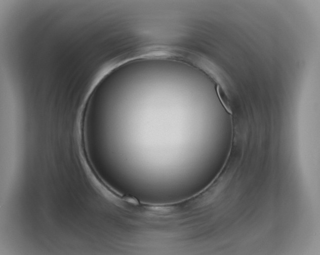 X0000110711483200906191537