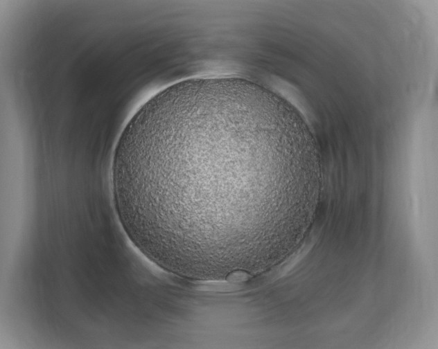 X0000110711487200906191537