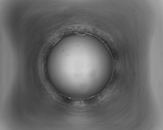 X0000110711489200906191537
