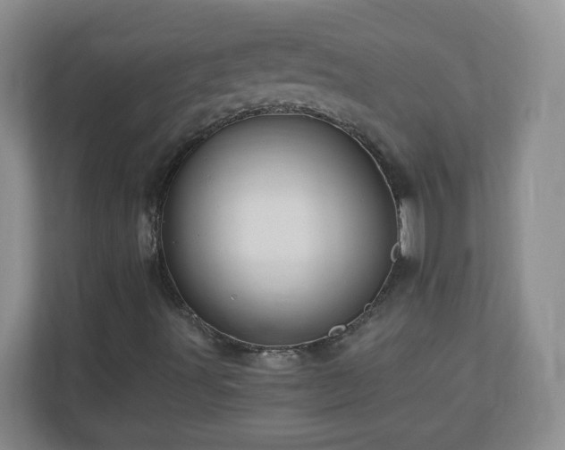 X0000110711491200906191537