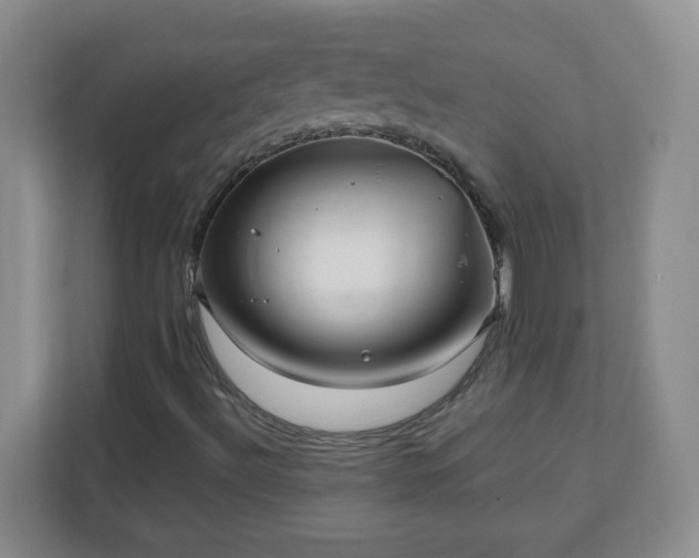 X0000110711492200906191537