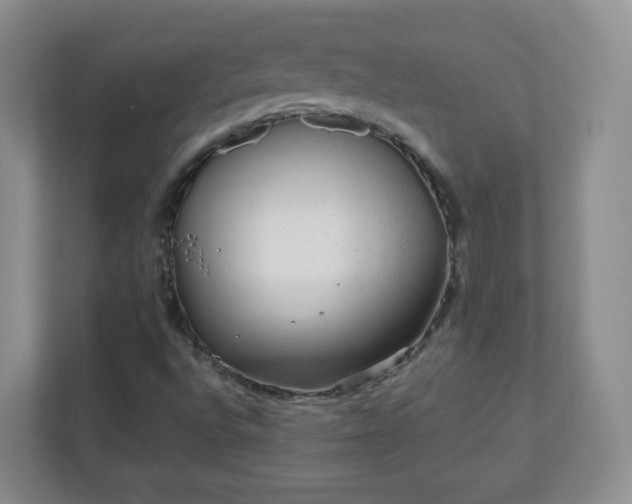 X0000110711496200906191537