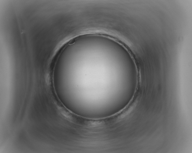 X0000110711501200906191537