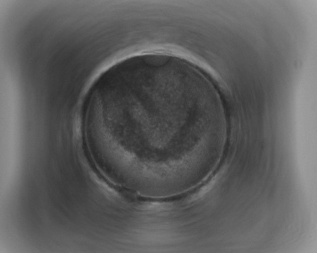X0000110711506200906191537