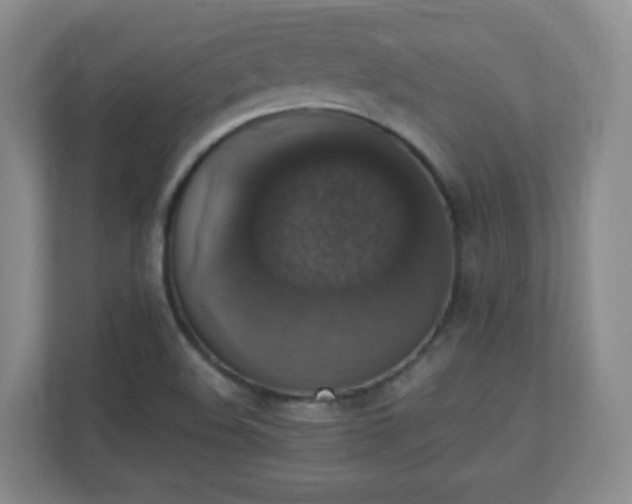 X0000110711508200906191537