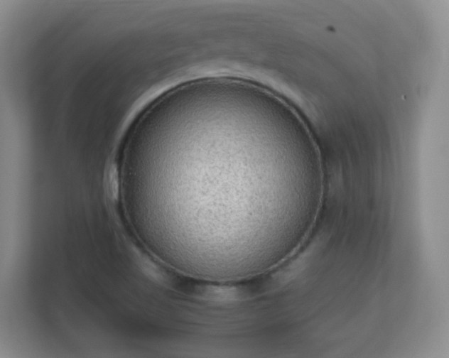 X0000110711509200906191537