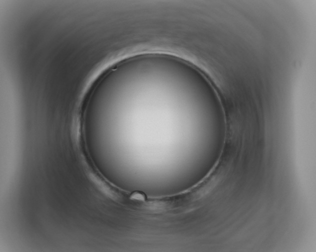 X0000110711511200906191537